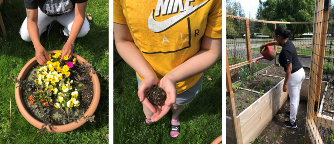 Three images of youth gardening at Echo Glen.