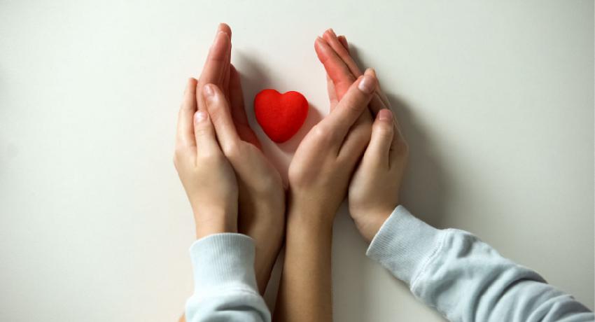 two hands holding heart