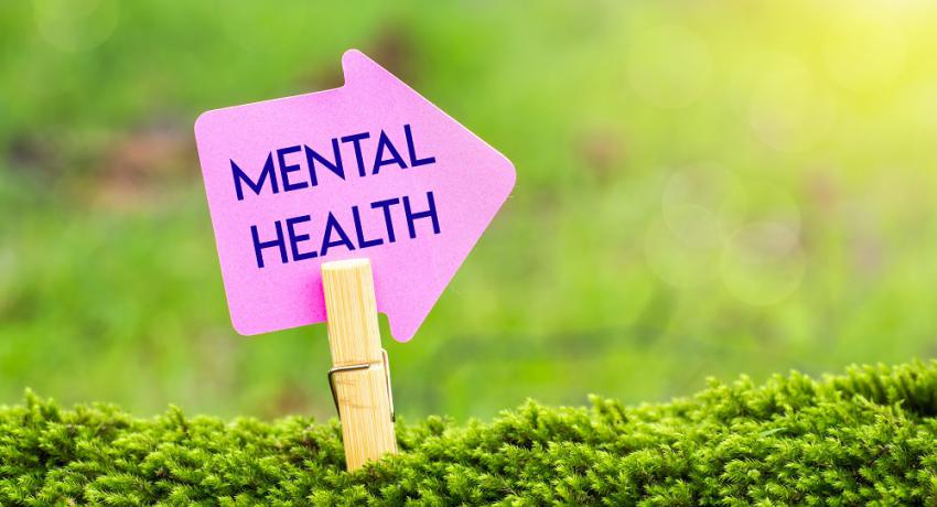 The words "mental health" on a paper arrow against a mossy background