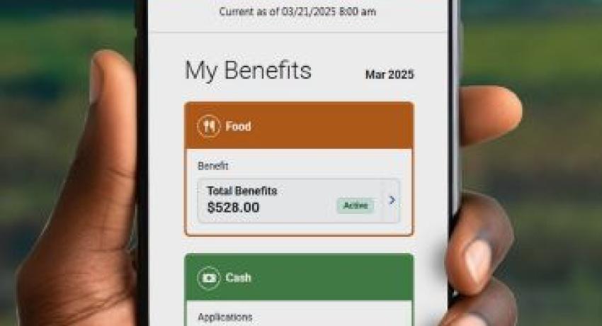 photo of a hand holding a phone with My WA benefits